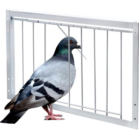 Cage à oiseaux – Piège à pigeons en fer pour entrée pour oiseaux de compagnie, installation facile – 40 cm (1/5)