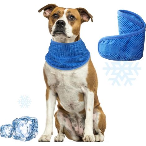Collare per animali domestici - Regolabile - Bandana rinfrescante - Leggera e portatile - Rinfrescante per animali domestici - Sciarpa per cani e gatti di taglia media e grande, taglia S (1/5)