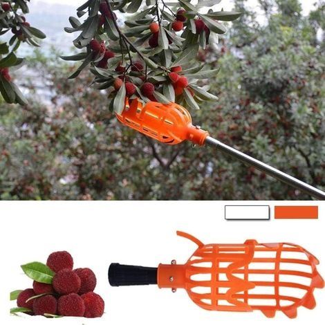 Obstkorbaufsatz aus Kunststoff, arbeitssparendes Werkzeug zum Sammeln von Früchten (Orangen) für die Ernte. (1/4)