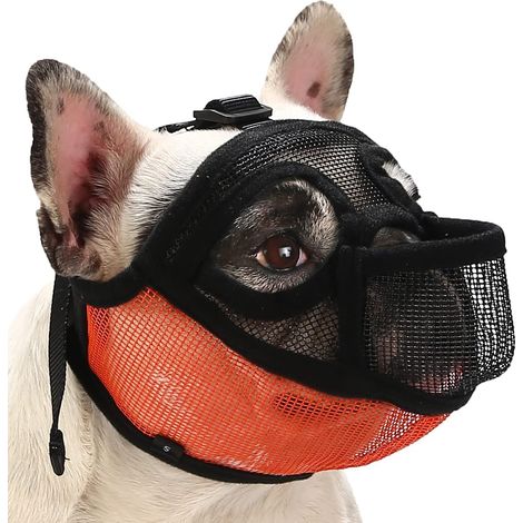 Filiyano-Muselière pour bouledogue français, muselière pour chien à nez court (Shih Tzu, bouledogue anglais), muselière en maille avec passage de (1/5)