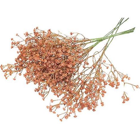 Bouquets de gypsophile artificielle réalistes au toucher réaliste en plastiquecafé (1/5)