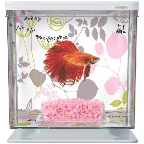 Marina Bettera - Aquario para Bettas de Diferentes Colores