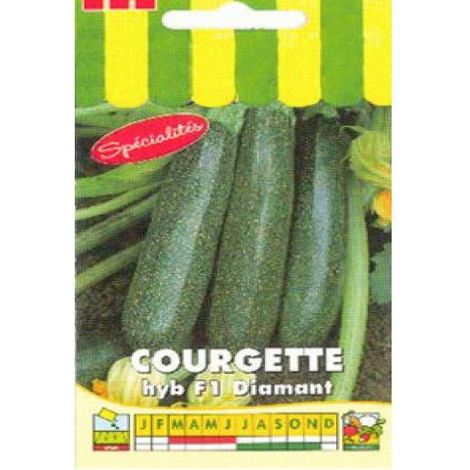 Courgette 'Diamant HYB F1' le sachet de 20 graines (2g)