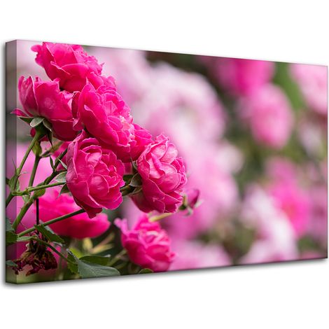 Lienzo impreso Rosas Rosas Botánicas 80x50 cm