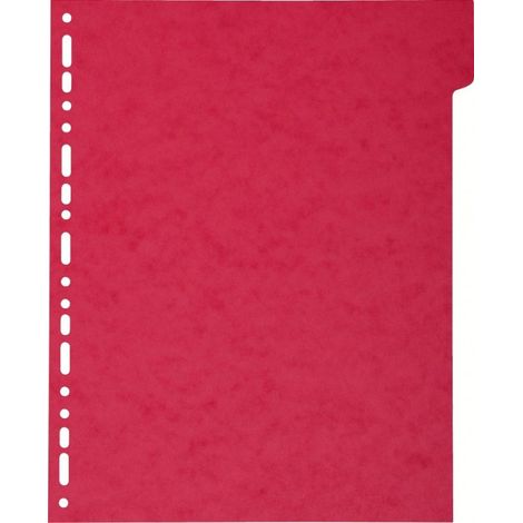 Exacompta 2406E divisor Cartón Multicolor 6 pieza(s) (1/4)