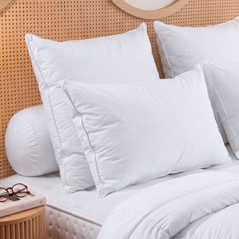 Oreiller Tradition Canard - 70% Duvet - Medium - 50/70 - DODO (1/2)