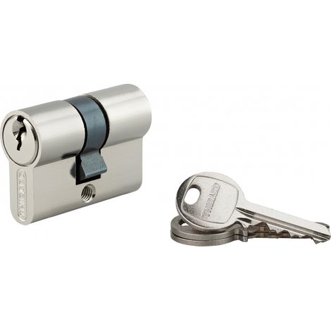Thirard – Cylindre de serrure cranté 21 x 21 mm nickelé – Mécanisme à 5 goupilles – Panneton anti-arrachement – 3 clés en acier nickelé