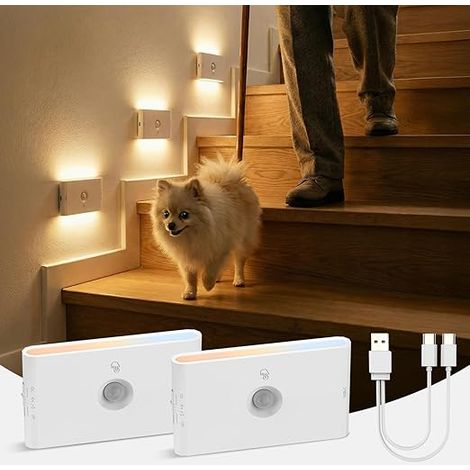 Rechargeable LED Night Light Motion Detector Battery, Pack of 2 (1/5)