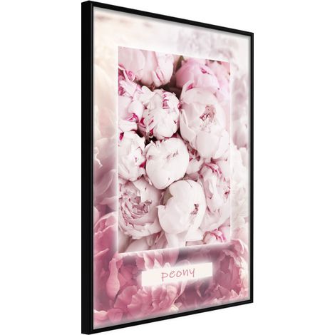 Affiche Murale Encadrée "Scent of Peonies" 21 x 30 cm Noir