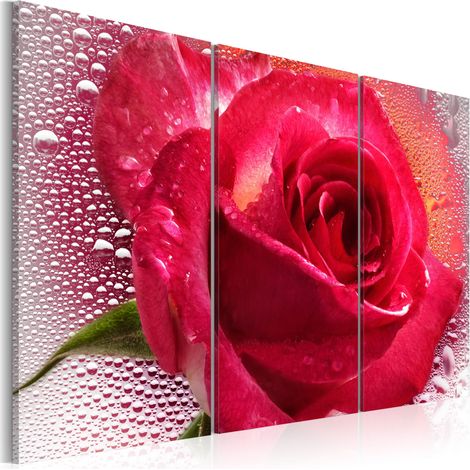 Quadro - Lady Rose - triptych - 60x40 (1/4)