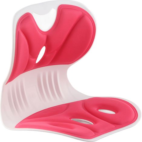 Lenden- und Rückenstütze für korrekte Sitzhaltung, bequemes, leichtes Rückenkissen für Homeoffice, Rosa (1/2)