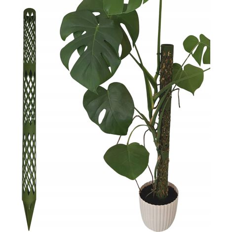 Paletto modulare per piante, supporto per Monstera e cocco, altezza 82 cm. (1/5)