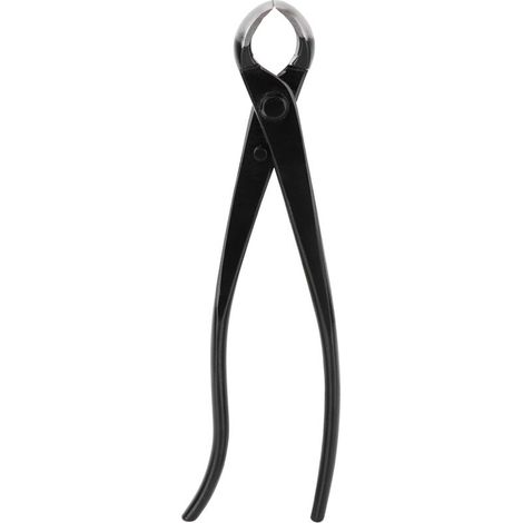 Cisailles de Jardin Acier 210mm pour Branches Épaisses - Outils Bonsai et Taille (1/5)