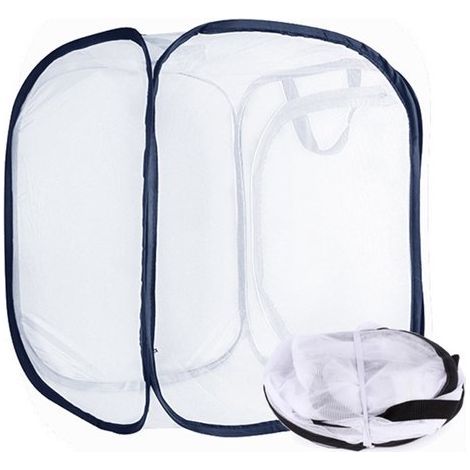 Cage d'élevage de papillons – Habitat pliable pour papillons avec panneaux en filet et fermeture éclair – Cage à insectes pour chenilles et papillons (30x30x30 cm) (1/5)