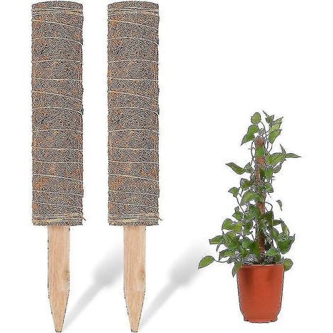 Tuteurs en fibre de coco de 40 cm pour plantes grimpantes, extensibles jusqu'à 70 cm. (1/5)