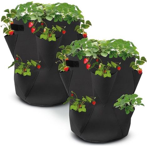 Lot von 2 Sacs de Plantation de Fraises en Feutre 45 x 35 cm Sac de Plantation pour Fraises et Petits Gemüse Sac pour Jardins, Balkone, Pflanzen, (1/5)