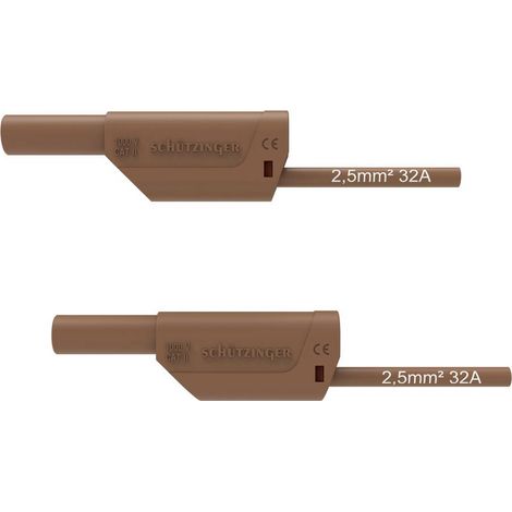 Schützinger VSFK 8500 / 2.5 / 200 / BR Cordon de raccordement 200 cm marron 1 pc(s)