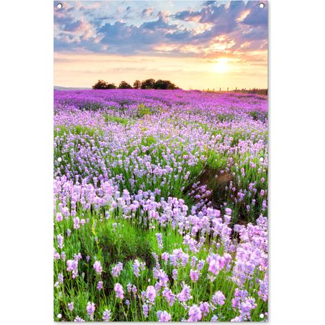 PÓSTER DE JARDÍN Flores - Lavanda - Púrpura - Cielo - Puesta de sol - Pradera - Naturaleza 80x120 (1/5)