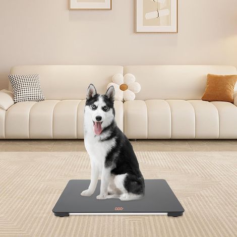 Pèse-animal numérique, 100 kg, en verre trempé, grande balance pour chien, avec écran LCD, pour chat, maison et clinique vétérinaire 65 x 45 cm (1/5)
