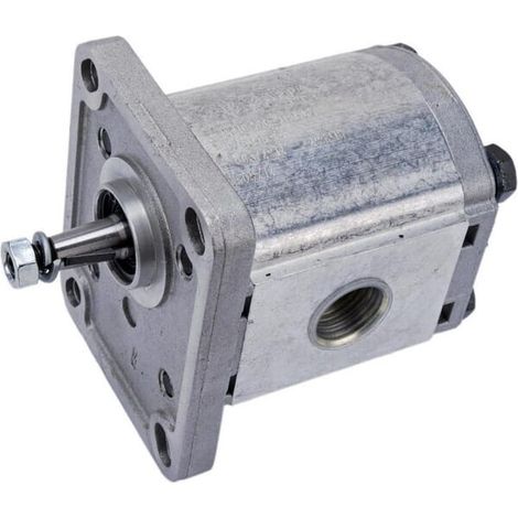 Pompe CASAPPA PLP108D081E1G (1/5)