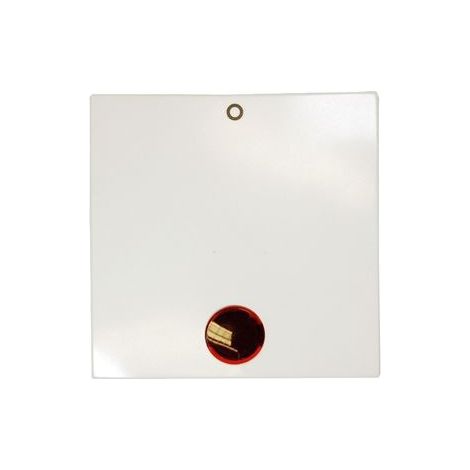 Berker manette avec lentille de contrôle S. 1 blanc polaire brillant
