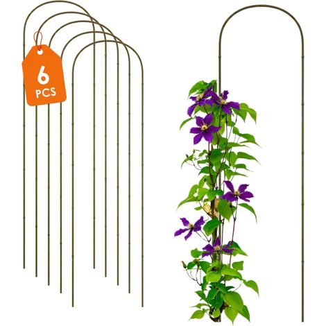 Bambus Pflanzenstütze 75 x 20 cm natur - 6er Set - Holzbogen Kletterhilfe für Rankpflanzen