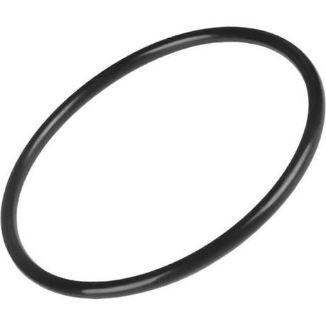 Joint torique de tête de filtre compatible CXFHR1001 RGX45G pour Hayward SwimClear C100SC150SC200S ReGenX RG45 (1/4)