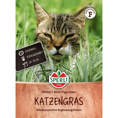 Sperli Katzengras SPERLI's Mini-Tiger-Gras