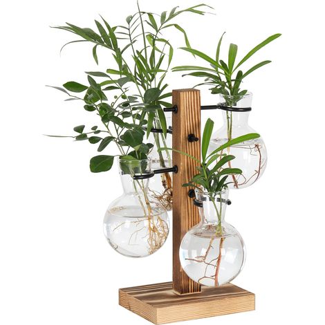 Kit de terrariums pour plantes, support de pot de fleurs hydroponiques de bureau, station de propagation de plantes avec 4 vases en verre et support en bois massif, cadeau de jardinage pour (1/5)