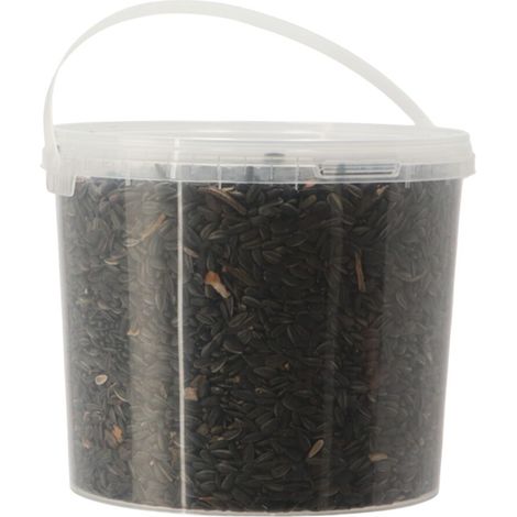 Graines de tournesol en seau - 1,3kg