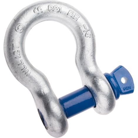 Schäkel Bolzendurchmesser 35 mm / geschweift (1/5)