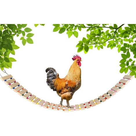 Jouet pour poulailler 15x118cm en bois naturel : échelle, balançoire et perchoir pour oiseaux, volailles, coq, poussins (1/4)