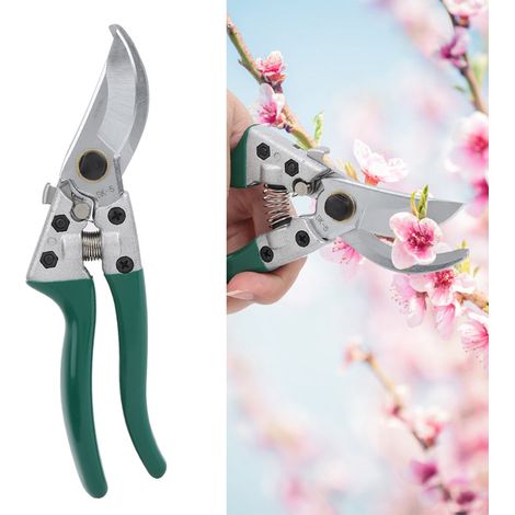 Tijeras de jardinería, tijeras para bonsáis, tijeras para jardín y flores. (1/5)