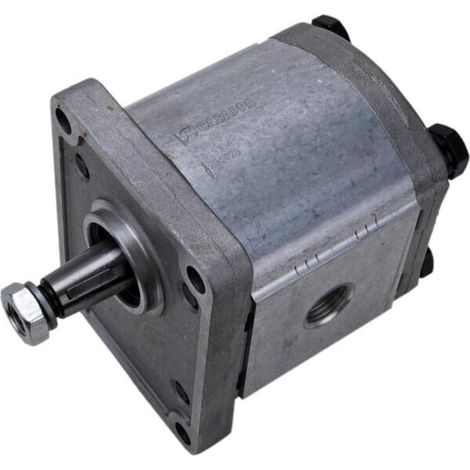 Pompe CASAPPA PLP2011D082E2G