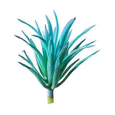 plante succulente artificielle à monter soi-même, réaliste, pour jardin, bureau, maison, décoration bonsaïbleu (1/5)