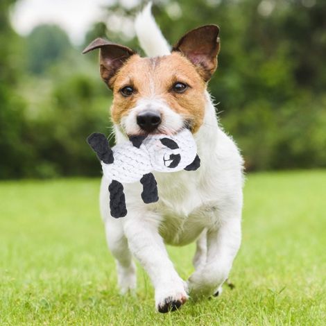 Jouet à mâcher pour chiens et pandas, en corde de coton tissée à la main, en forme d'animal de dessin animé (1/5)