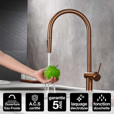Robinet Mitigeur de Cuisine anti-calcaire avec Douche anti-calcairette Or Rose IMEX BERNA GCE026/ORC (1/4)