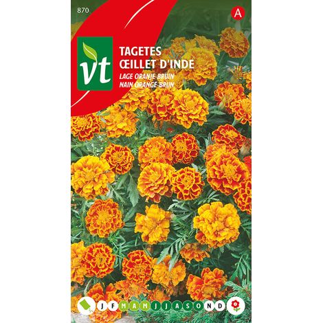 Œillet D'Inde Nain Orange-Brun - Ca. 1 gr (Livraison Gratuite) (1/2)