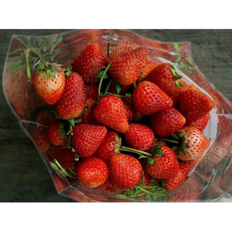 Sacs de congélation - - 451550 - 1 L - 40 pièces - fermeture par clips (1/4)