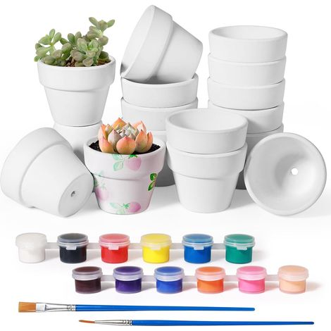 16 Mini White Pots 3 x 2 cm, Small Terracotta Pots with Colours and Brush, Terracotta Effect for Succulents, Herbs, DIY, Reusable for Indoor and Outdoor (3 x 2 cm) (1/5)
