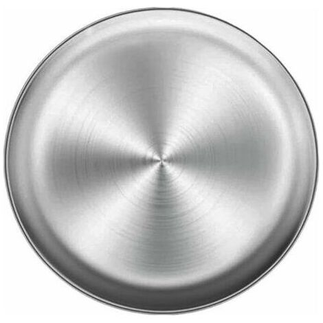 Plat à Pizza en Acier Inoxydable, Plaque de Cuisson à Pizza Ronde Plateau de Four à Pizza en Acier Inoxydable, Plateau de Rangement Multifonctionnel Rond en métal Plateau de Cuisson à Pizza 26 cm (1/4)