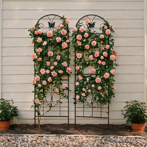 Lot de 2 treillis métalliques noirs 50 x 180 cm pour plantes (1/5)