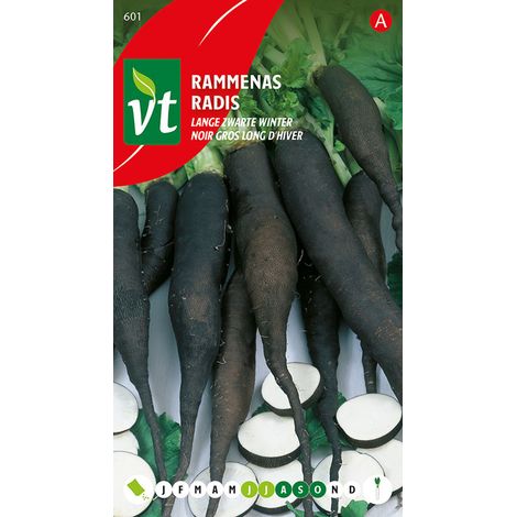 Radis Noir Gros Long D'Hiver - Ca. 8 gr (Livraison Gratuite)