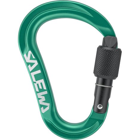 Mousqueton unisexe Salewa Ortles HMS S vert 00-00000720015210 (1/4)