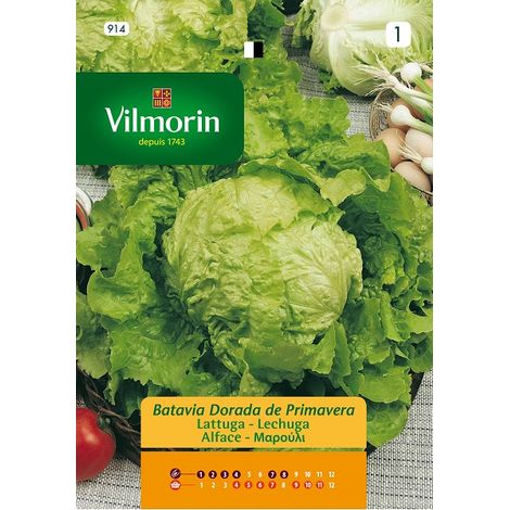 Vilmorin Salatsamen Batavia Golden S-1 914, Ð©ber 7 g