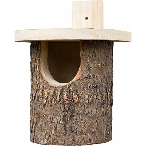 nichoir en bouleau semi ouvert