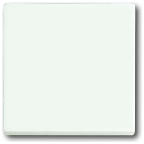 Futur Linear / Enjoliveur pour va et vient Blanc Mat 2CKA001751A3089 ABB BJE74364