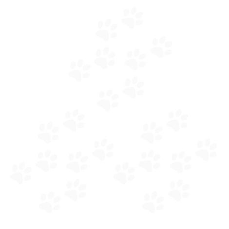 24 autocollants empreintes de pattes de chat pour voiture (1/3)