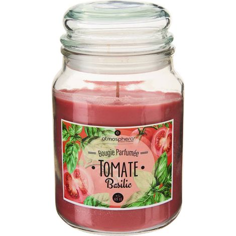 Bougie parfumée 490g Eloa - Atmosphera créateur d'intérieur (1/5)