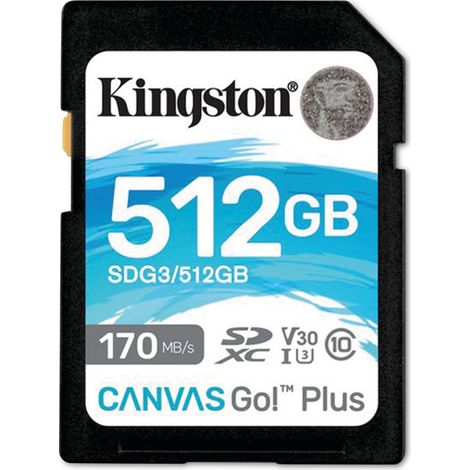 KINGSTON SD-Card Canvas GO, 512 GB